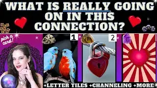 WHAT IS REALLY GOING ON IN THIS LOVE CONNECTION? very HONEST TAROT PICK A CARD (channeling +details)