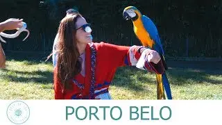 PORTO BELO - GUIA DA JOW!