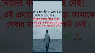 আল্লাহ আমাদের সব প্রাবাসীদের সুস্থ রাখুন #foryou #video