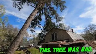 Very dangerous tree removal | tornado devastation in Amory Mississippi