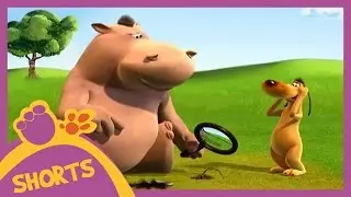 Pat and Stan |  Magnifying Glass | Cartoons for Children