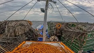 First Time Nangyare To Kay Disay Habang Naglipat Ng Mga Trap Buti Naging Maayos Na sya