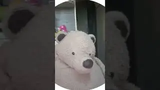 когда друг пытается отмазать 🤣