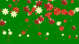 No copyright green screen ful video //Apna Muchi