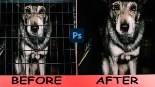 How To Remove ANYTHING From a Photo In Photoshop | Remove ANYTHING from Complex Perspectives