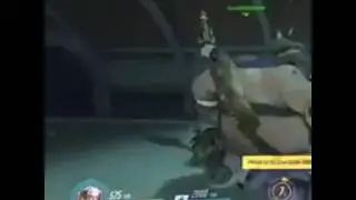 roadhog and Reinhardt yelling contest XD
