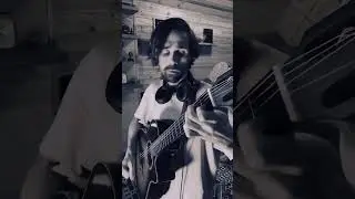 Лебединая Верность