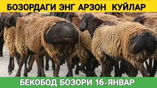 БОЗОРДАГИ ЭНГ АРЗОН КУЙЛАР. ЯНГИ КУРГОН БЕКОБОД БОЗОРИ. СИФАТЛИ БУГОЗ КУЙ-КУЗИЛАР