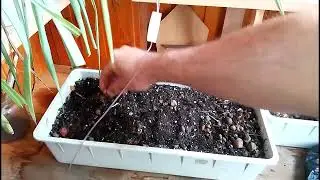 Севок у меня дома не сработал.