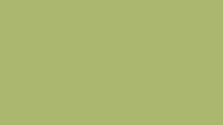 12 HOURS of green atmostpheric screen for reading and relaxion (NO AUDIO)