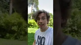 Максим Галкин - Один раз в год сады цветут.