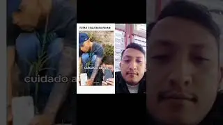 Prank gajah