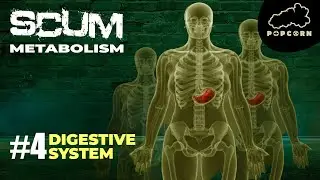 SCUM Digestive System Metabolism Breakdown Series (SCUM Game ) 