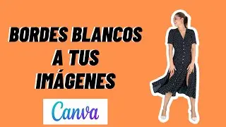 How to ADD WHITE BORDERS to IMAGES in CANVA