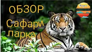 #Геленджик