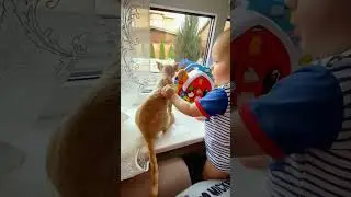 #MrBirsaX || Meri Jindagi Tu Hai || cute baby