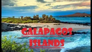 Unlocking the Secrets of Pristine Galapagos Islands| Wonders of Galapagos Islands
