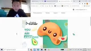 How to get a custom cursor