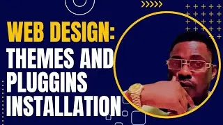 Wordpress themes and pluggins installation