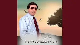 Delalê Min (Xorto)