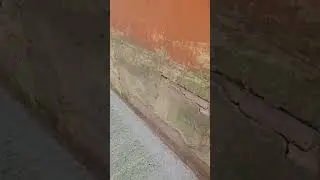 поликлиника вымирает sos
