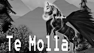 Horse Paradise •𝐓𝐞 𝐌𝐨𝐥𝐥𝐚 •