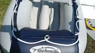 Beluga Silver 300