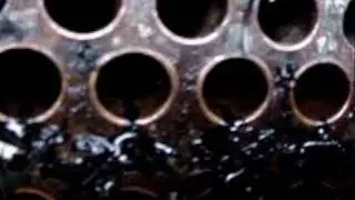 Pine needles on tubesheet