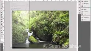 Photoshop Workspace