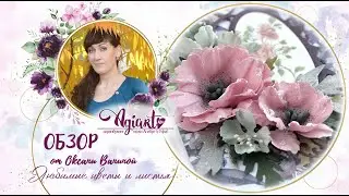 Обзор - Вдохновение 