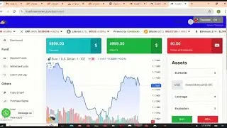 How To Design A Bitcoin Investment Website with Currency Selection & Withdrawal Pin