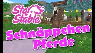 Diese Pferde gibt es zum Schnäppchen Preis  (Star Stable Online)