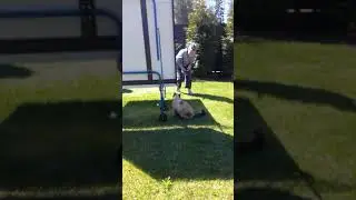 Михаил