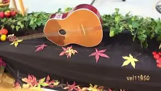 BILOGORSKA CURA  -  Instrumental Veljka Ninčevića