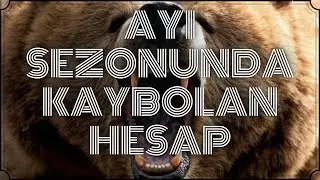 Ayı Piyasasında Ortadan Kaybolan Hesapların İzinde 🔍