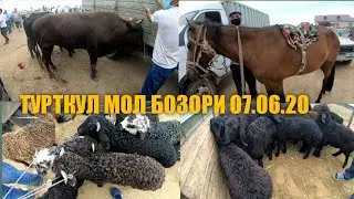 ТУРТКУЛ МОЛ БОЗОРИ 07. 06.20. TORTKOL MOL BOZORI