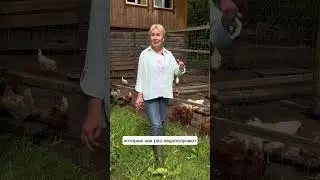 Скорлупа яиц поможет при аллергии #скорлупа #аллергияуребенка #помощьприаллергии