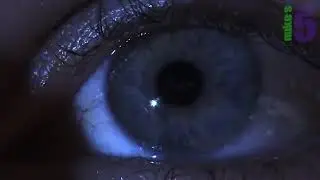 5 Scariest Things Caught On Doorbell Cameras