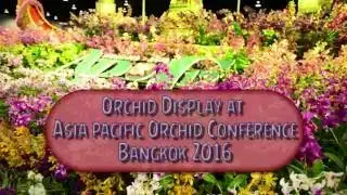 Orchid Show, Bangkok, Thailand, 2016