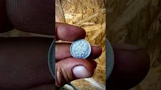 Почистил#coins#nokta#shortvideo#short#youtubeshorts#hobby