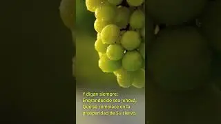 Las claves para atraer la prosperidad a tu vida 💫