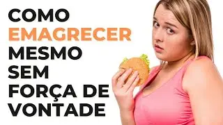 Não é falta de força de vontade, aprenda o que fazer para emagrecer