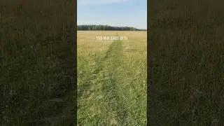 Чтоб моя земля цвела 🌾 #мояземля #родина