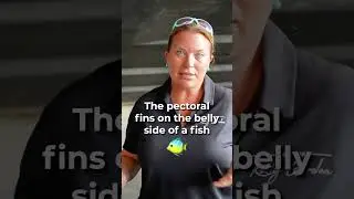 It’s @thequalifiedcaptain Tip of the Week: Stabilizers #captainkelly #Yacht #MarineTech #Stablilizer