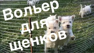 Вольер для щенков