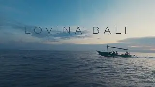 Bali. Swimming with dolphins. Scroeling with fish.