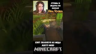 Енот полоскун 