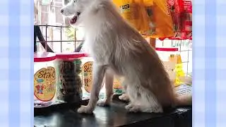 Pag mahal mo alaga mo mamahalin kadin nila