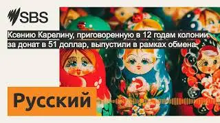Ксению Карелину, приговоренную в 12 годам колонии за донат в 51 доллар, выпустили в рамках...
