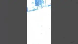 😭😭😭  бедный пёся